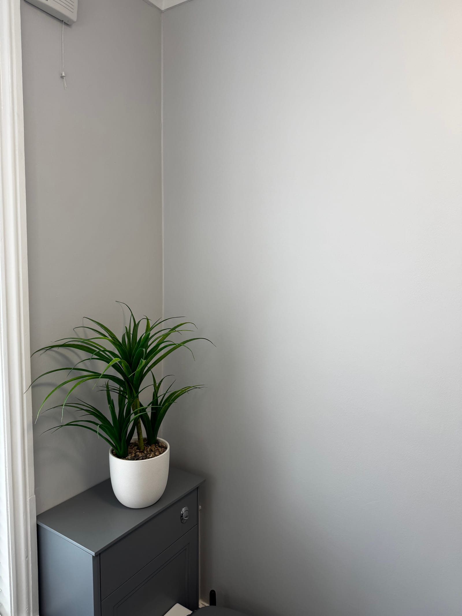 Perfectly smooth freshly decorated wall